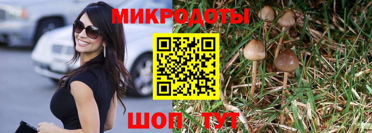 Галлюциногенные грибы Cubensis  Вход с VPN  Янаул 