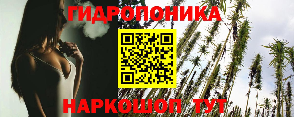 Конопля OG Kush  Бошки марихуана семена  МАРИХУАНА AK-47  Канабис планчик  Янаул  Вход с VPN 